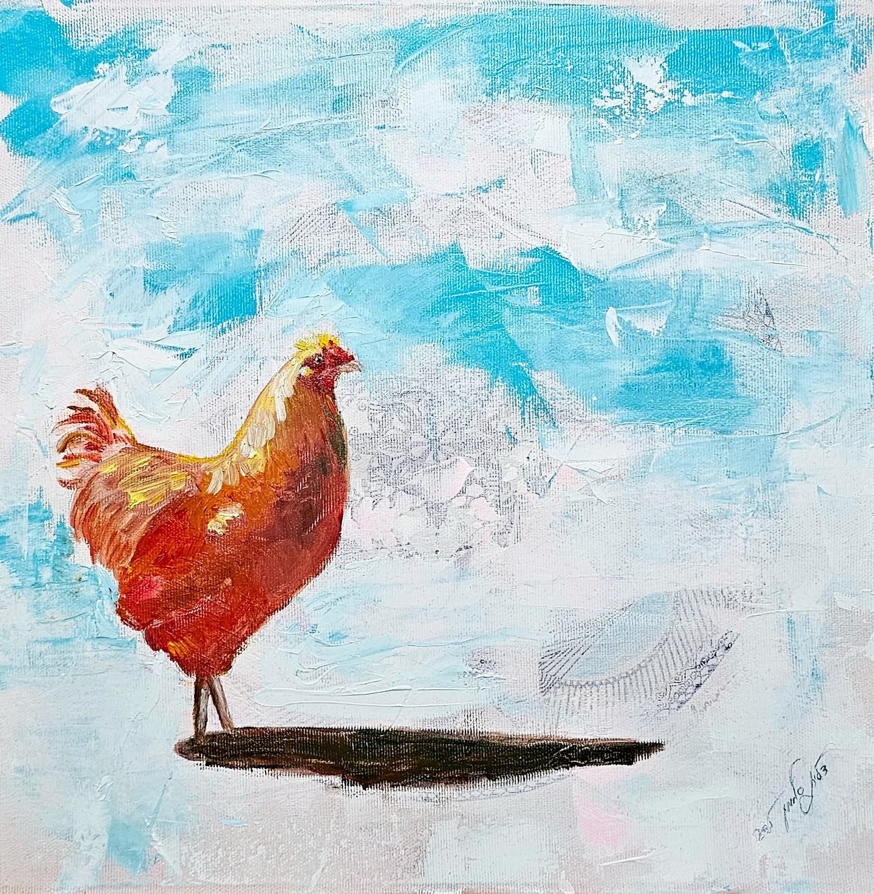 תרנגולת בשמש