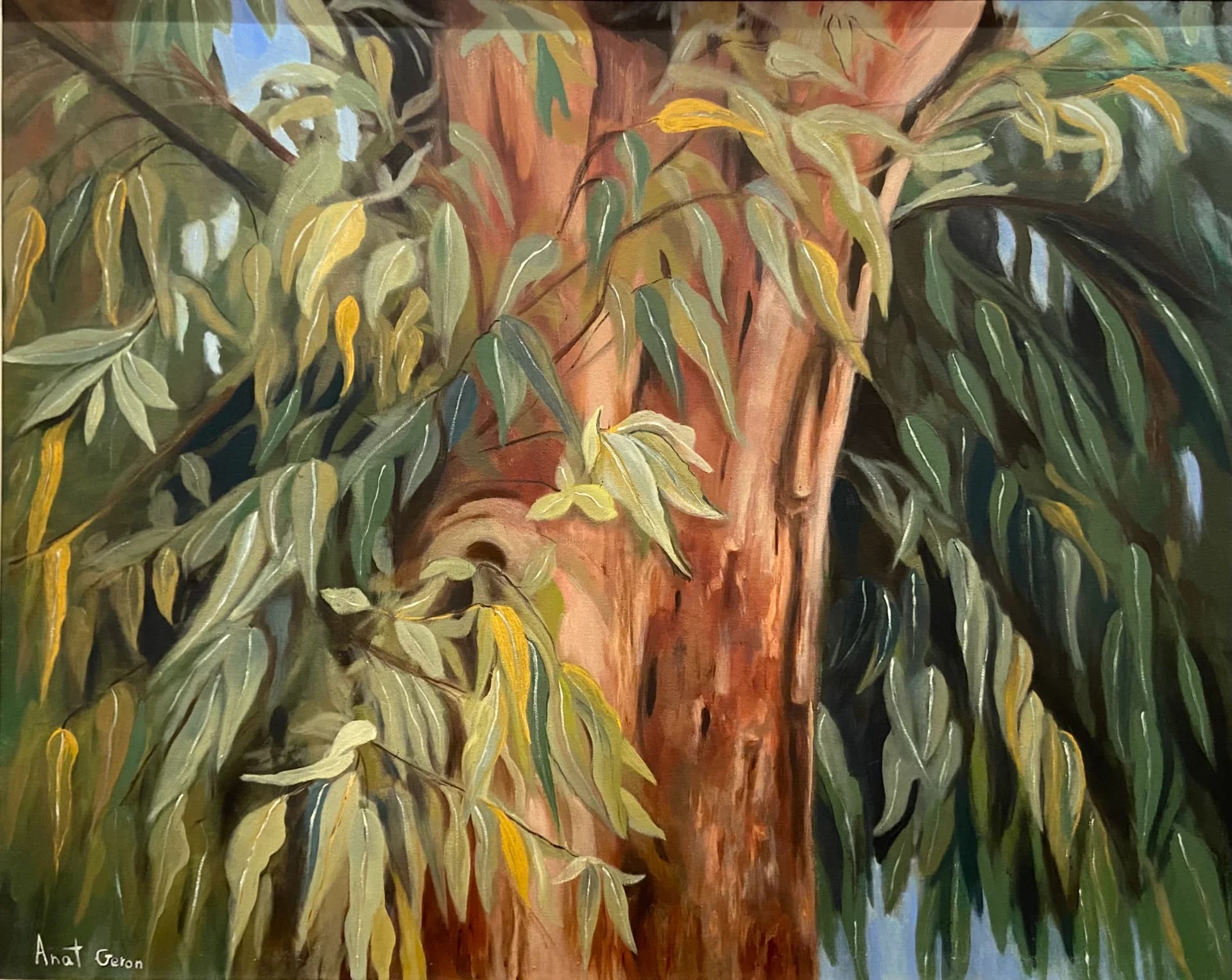 eucalyptus