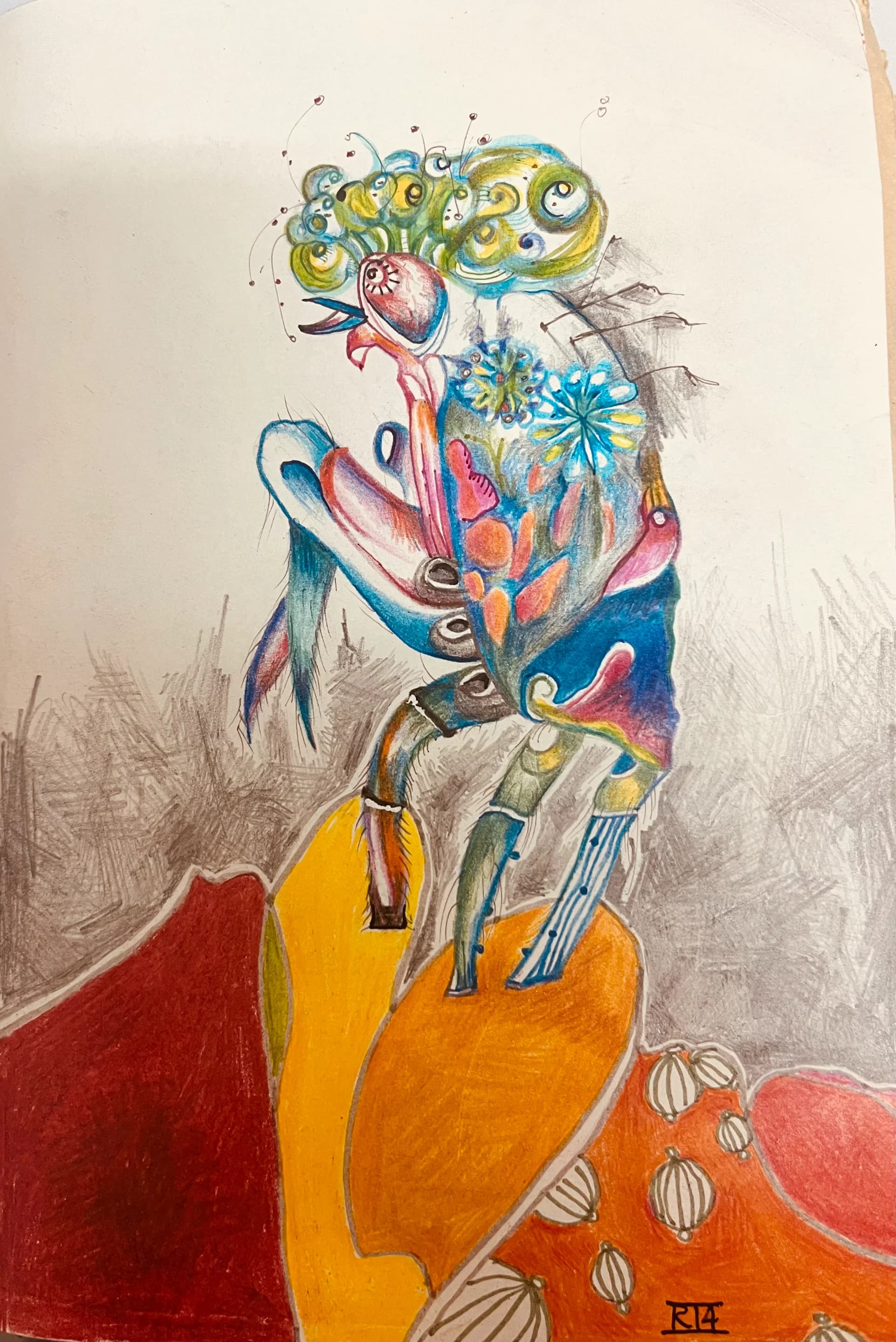 Rooster Sand Crab