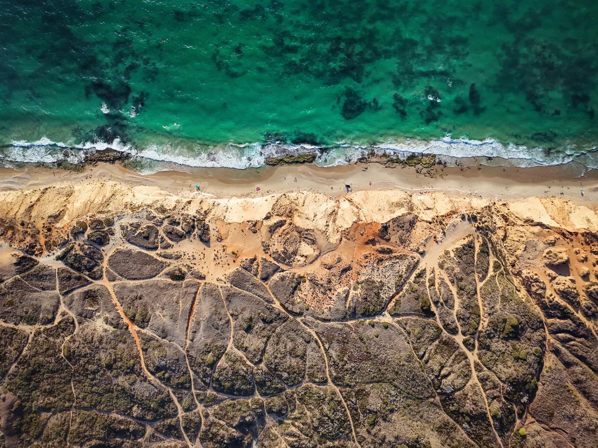 עורקי חוף: קנה מידה 1:1000