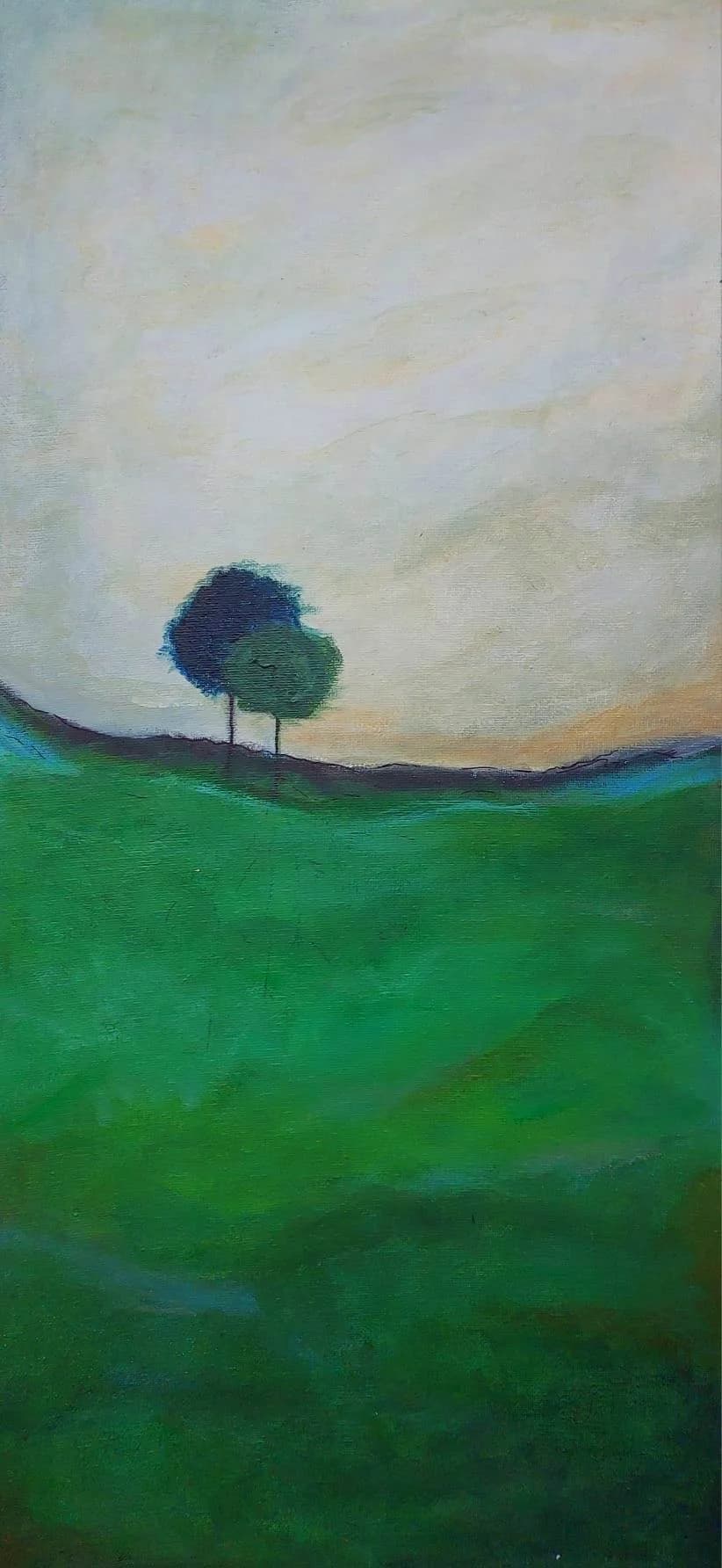 Trio home landscape