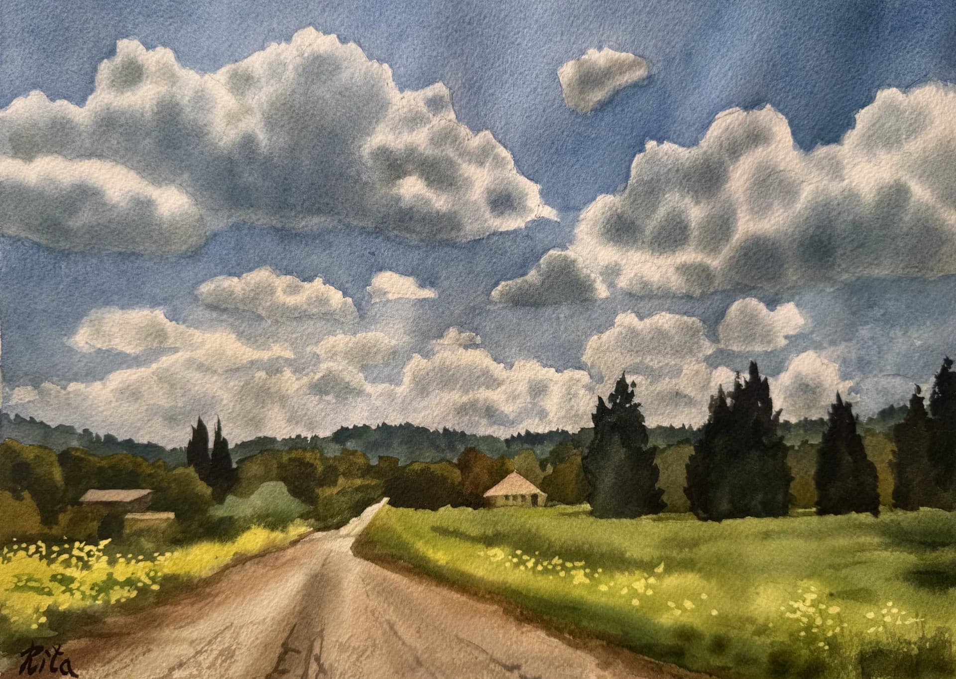 Spring in the fields