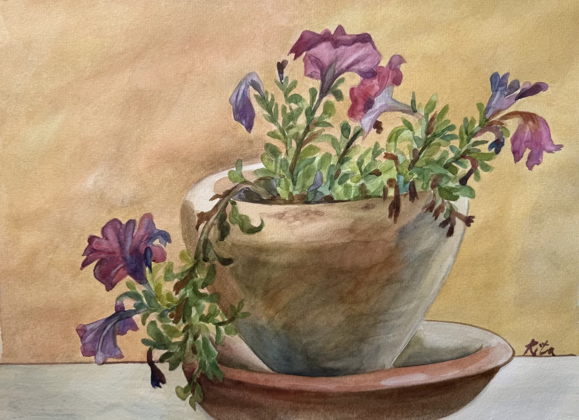 Petunias