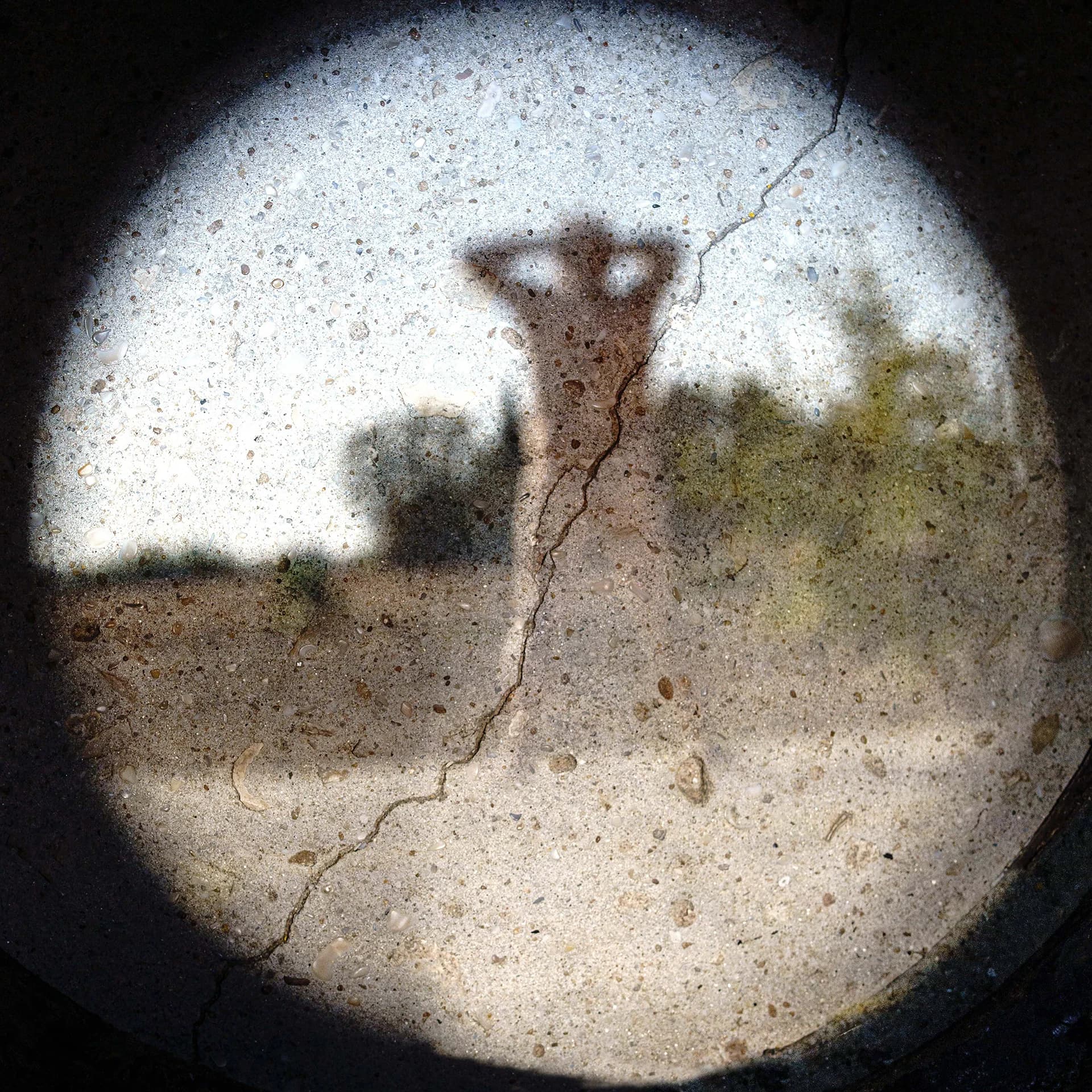 מבט אל העתיד