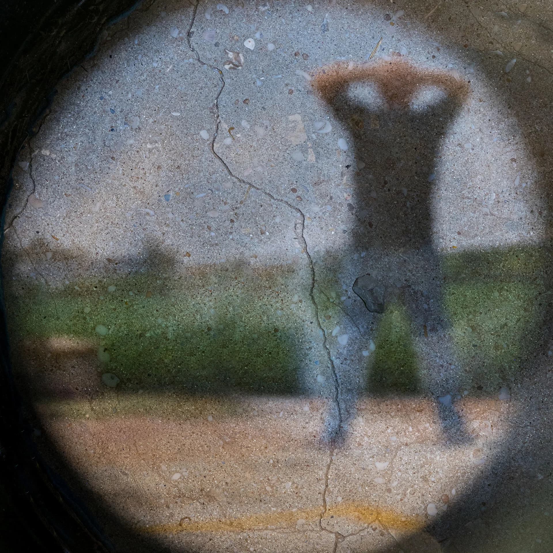 מבט אל העתיד