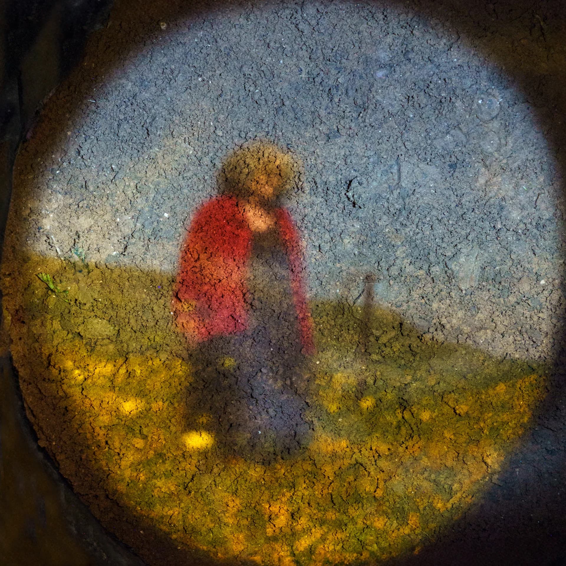 אישה בשדה פרחים