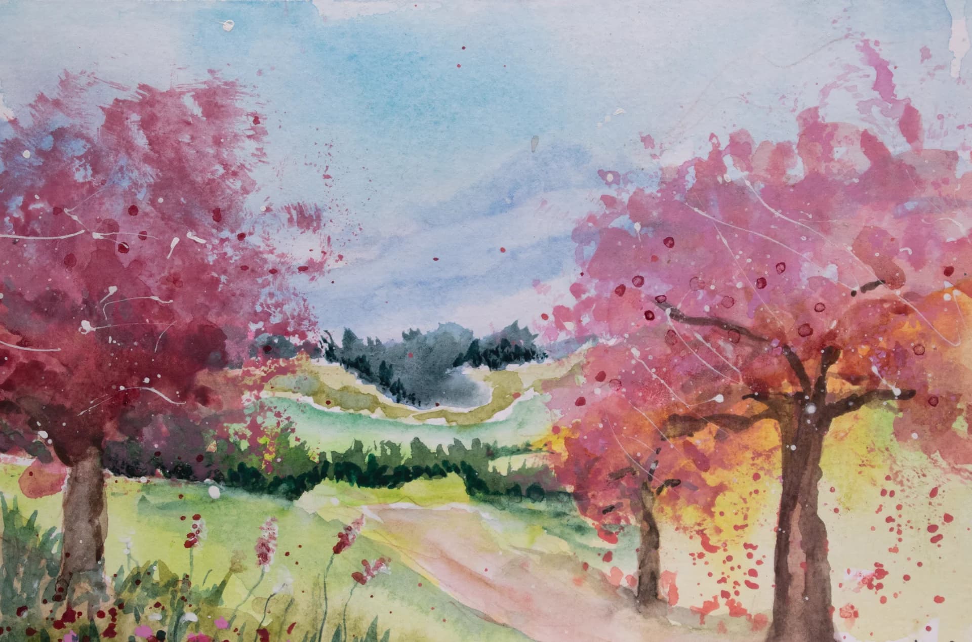 Where Blossoms Grow
