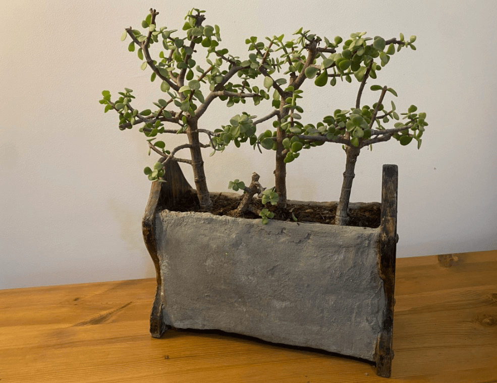 מחזיק עיתונים