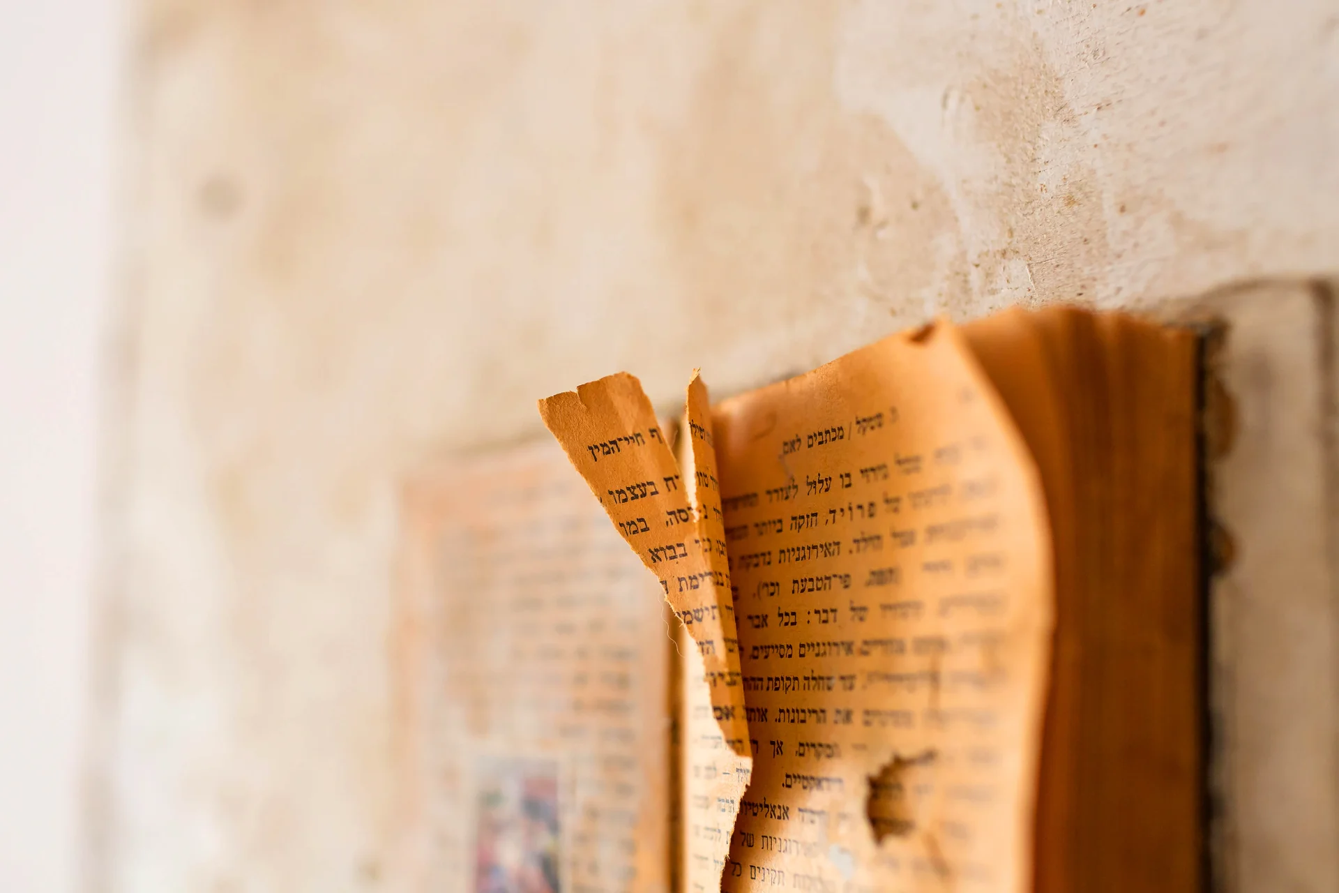 מילה בספר