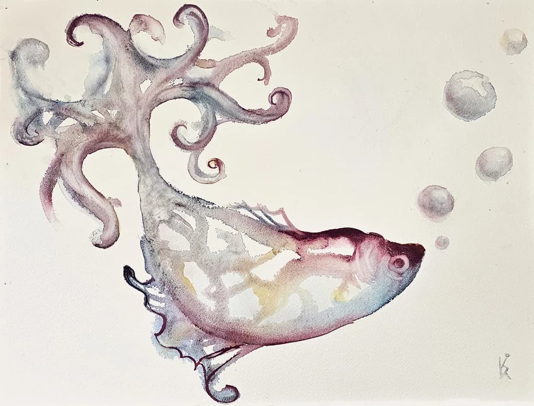 נרקם מחלומות