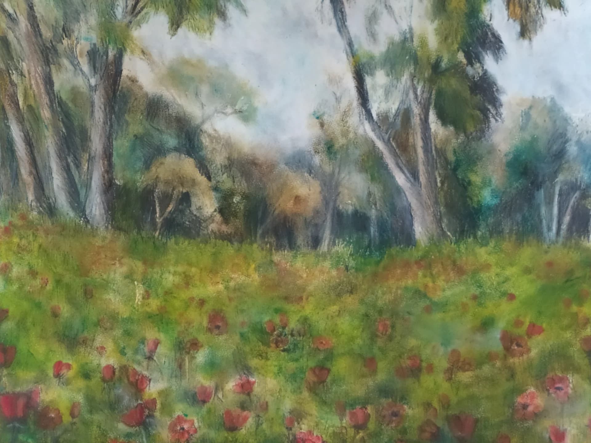 ืืจืื ืืืื ืืฉืืงืื