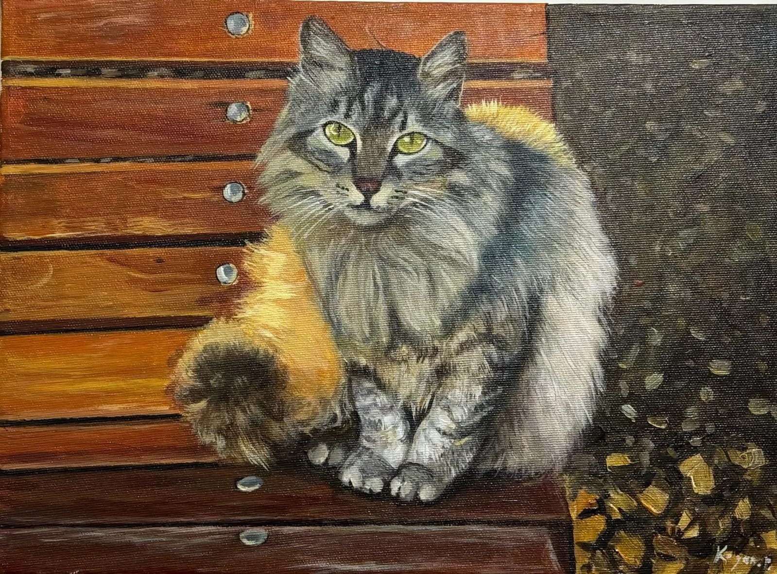 Gray Cat in Morning Light