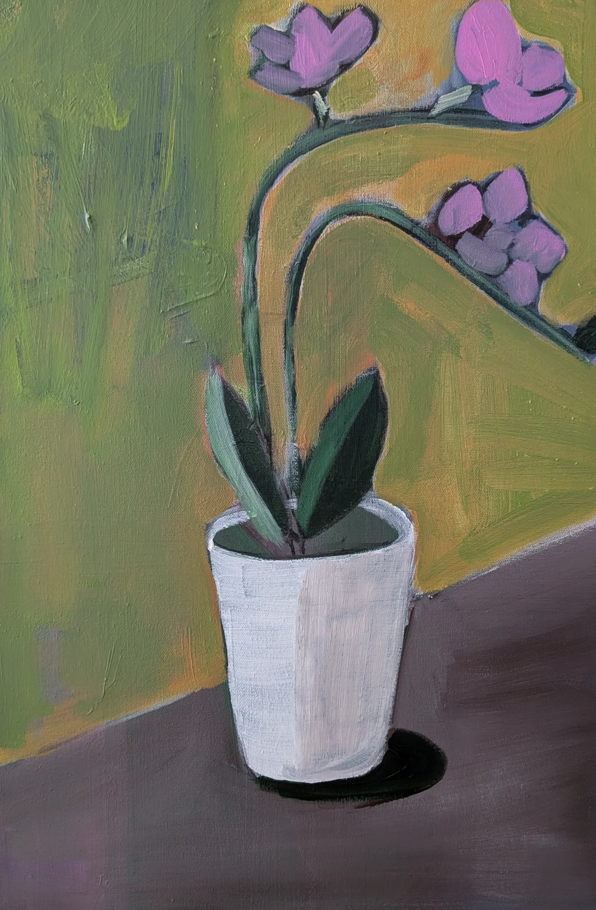 Orchid in Green Light
