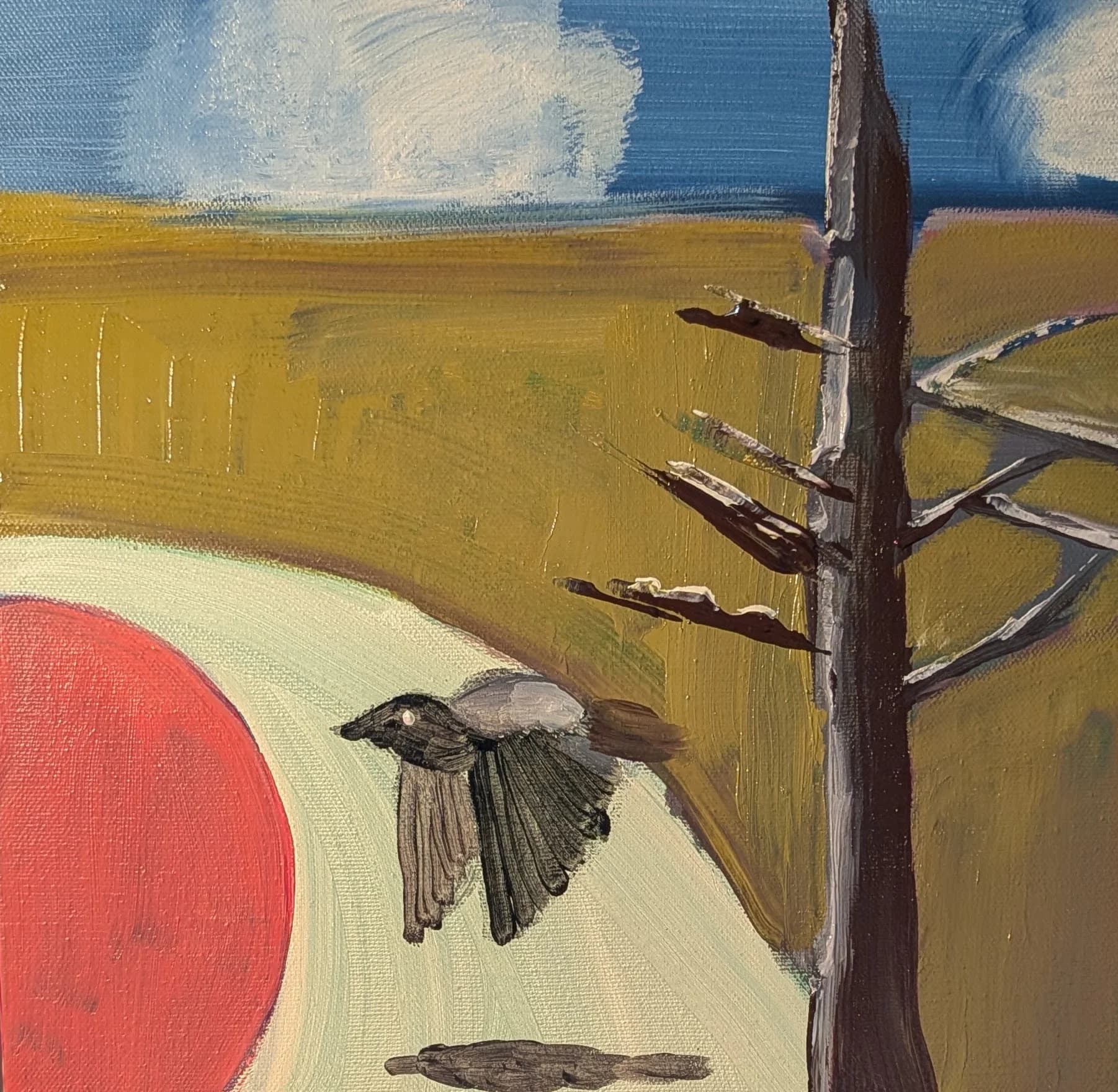 A crow with a pink spot