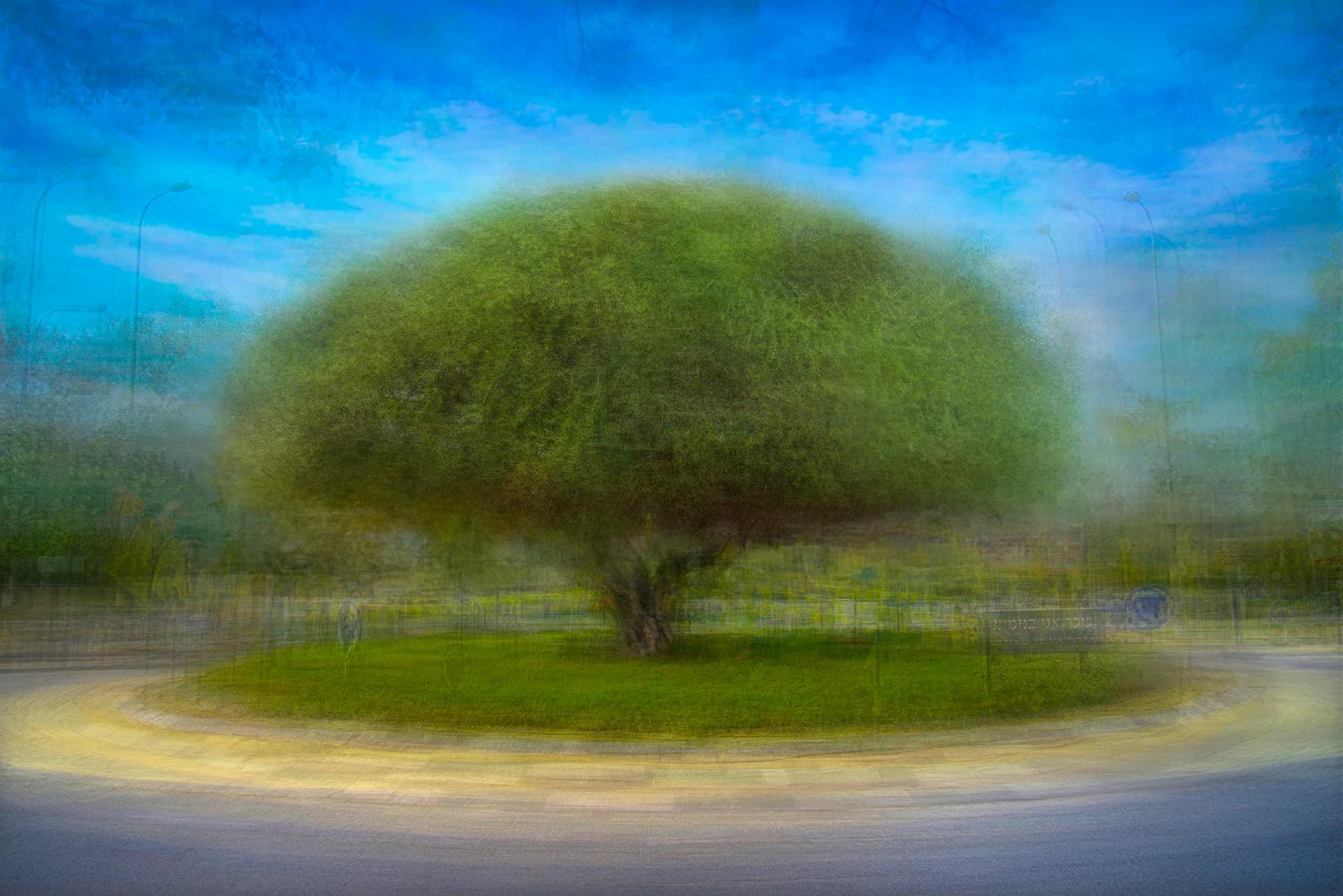 עץ הזית בכניסה לבנימינה