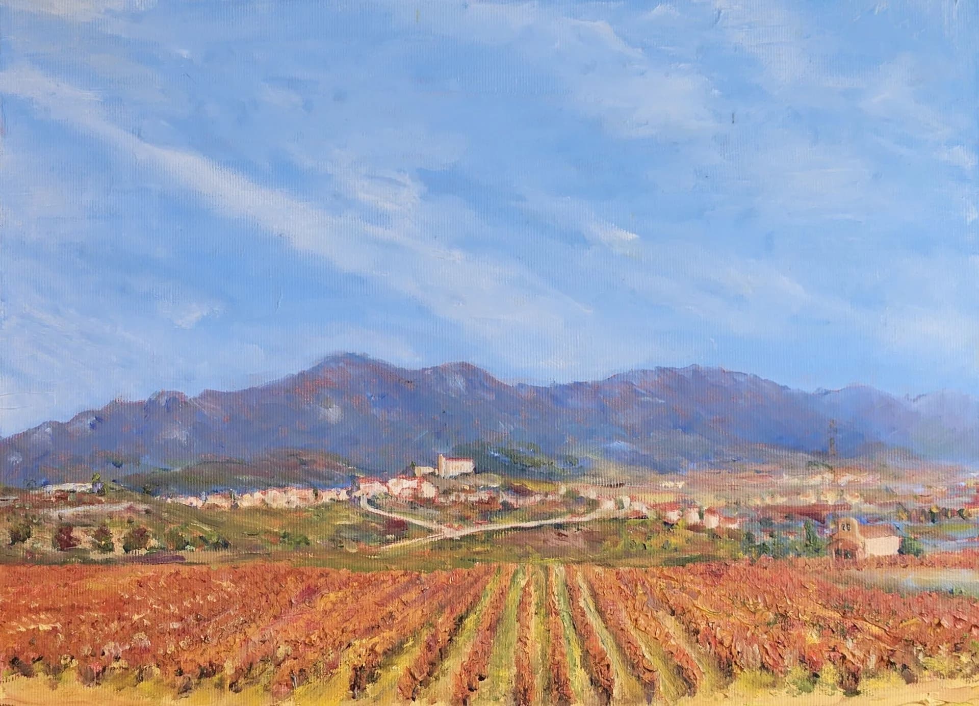 Viñedos en otono en La Rioja כרמים בסתיו בלה ריוחה, ספרד