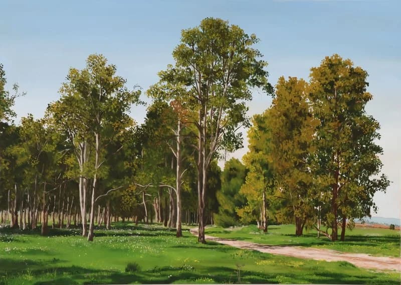 The path to the grove