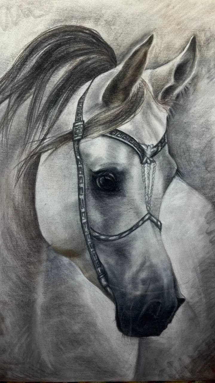 חכמה
