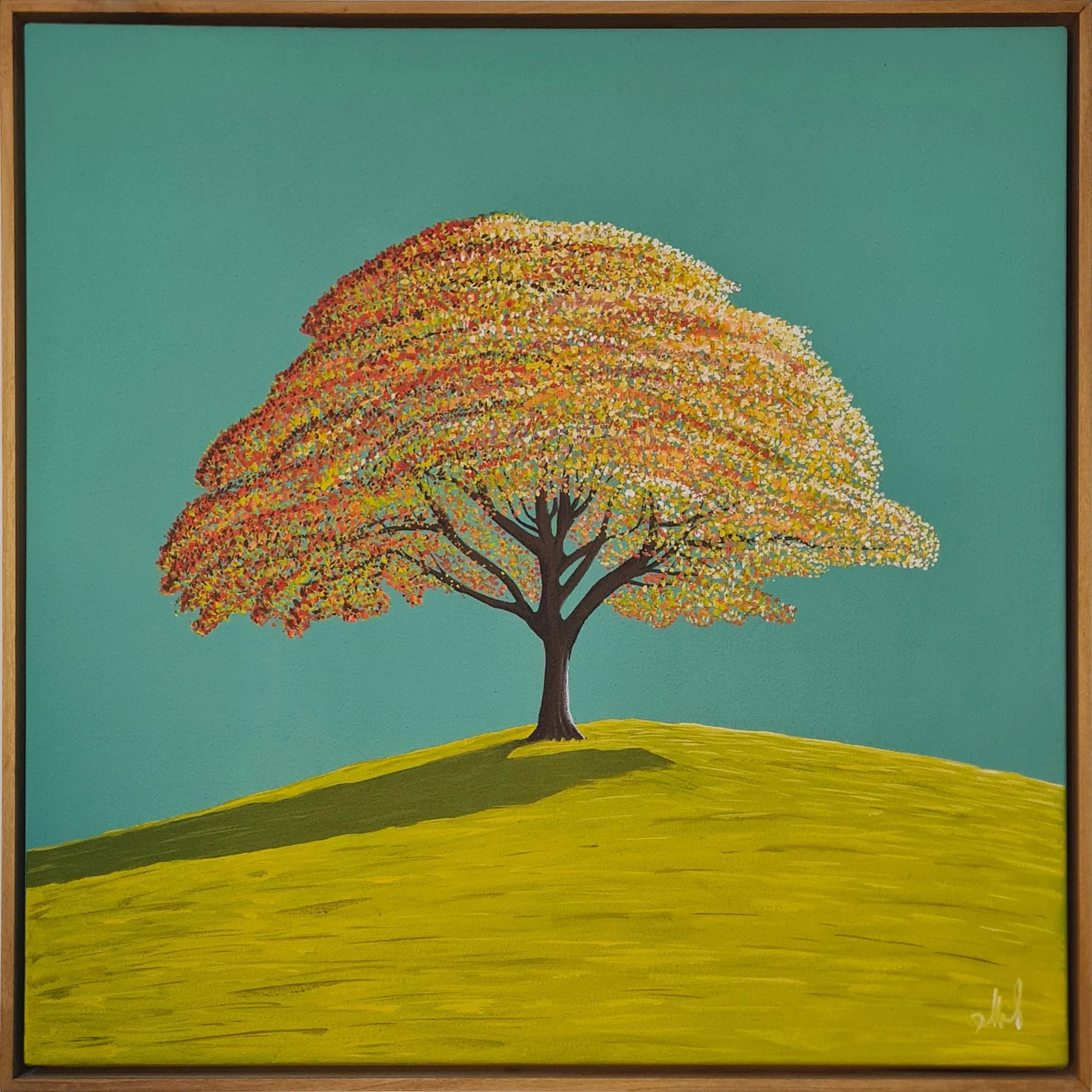 Tree and Shadow