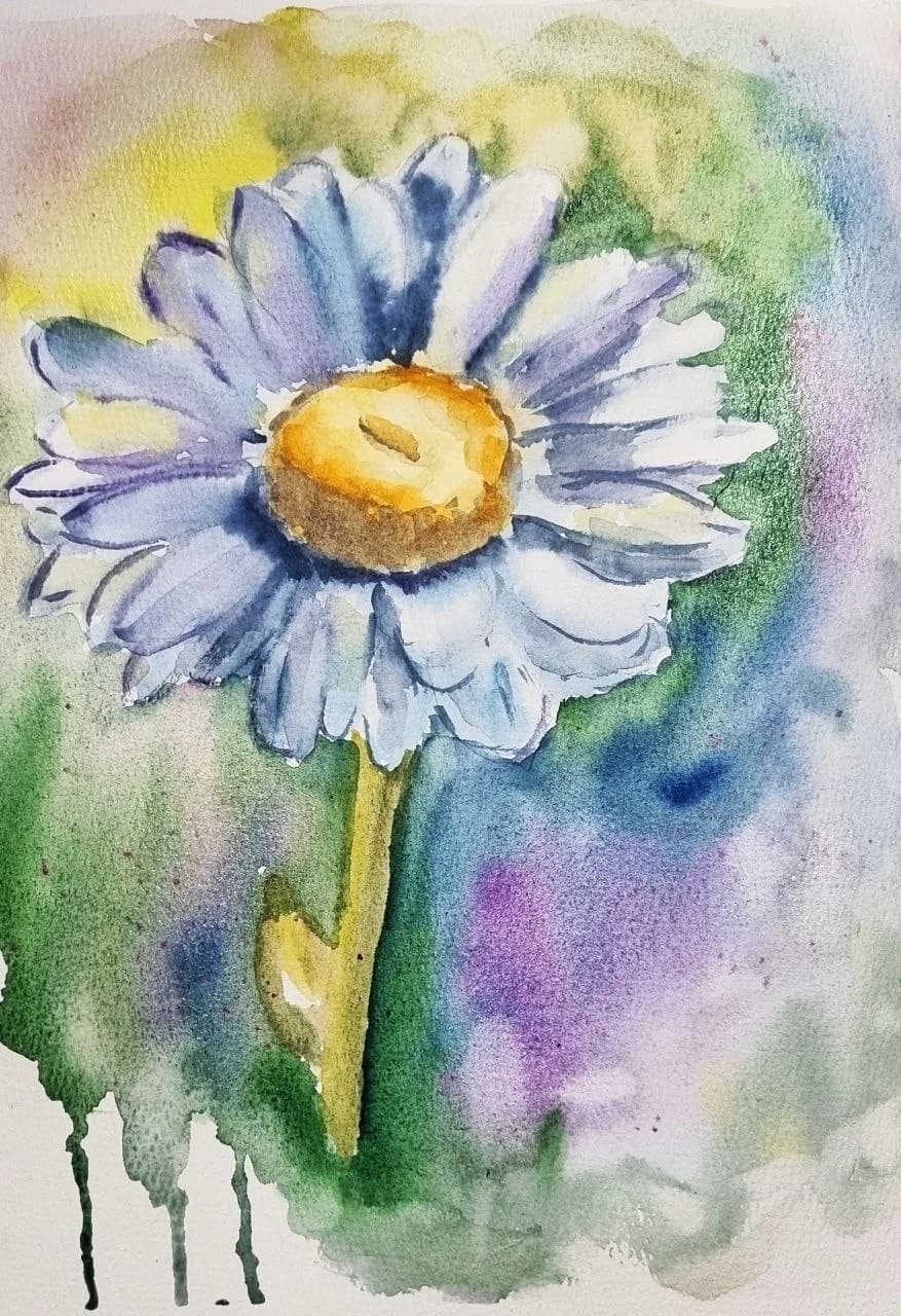 Daisy in Morning Light