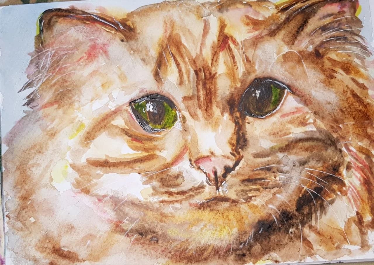 Cat Gaze
