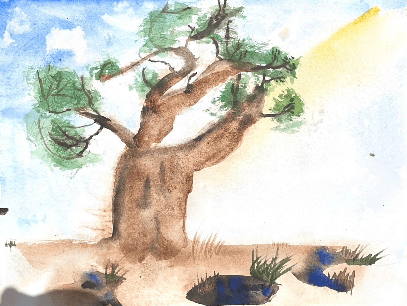 Sunlit Tree Study