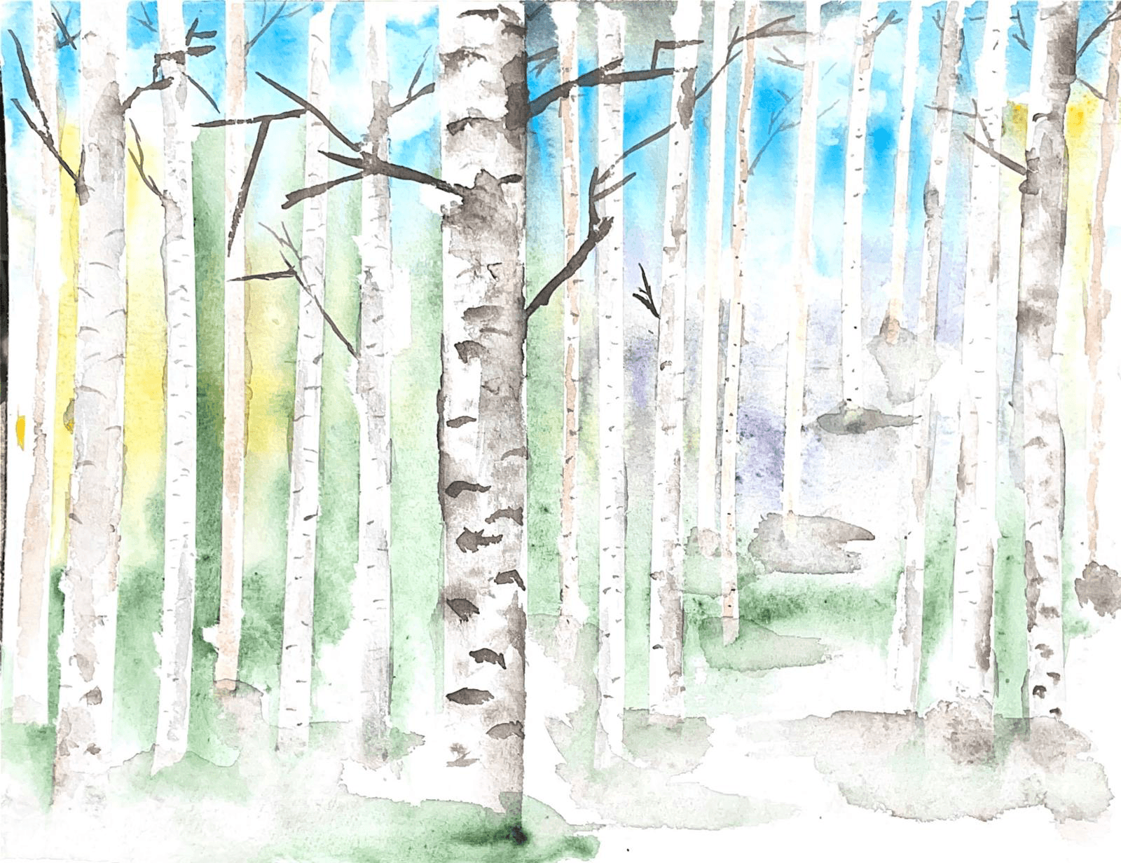 Whispering Birch Grove Finland