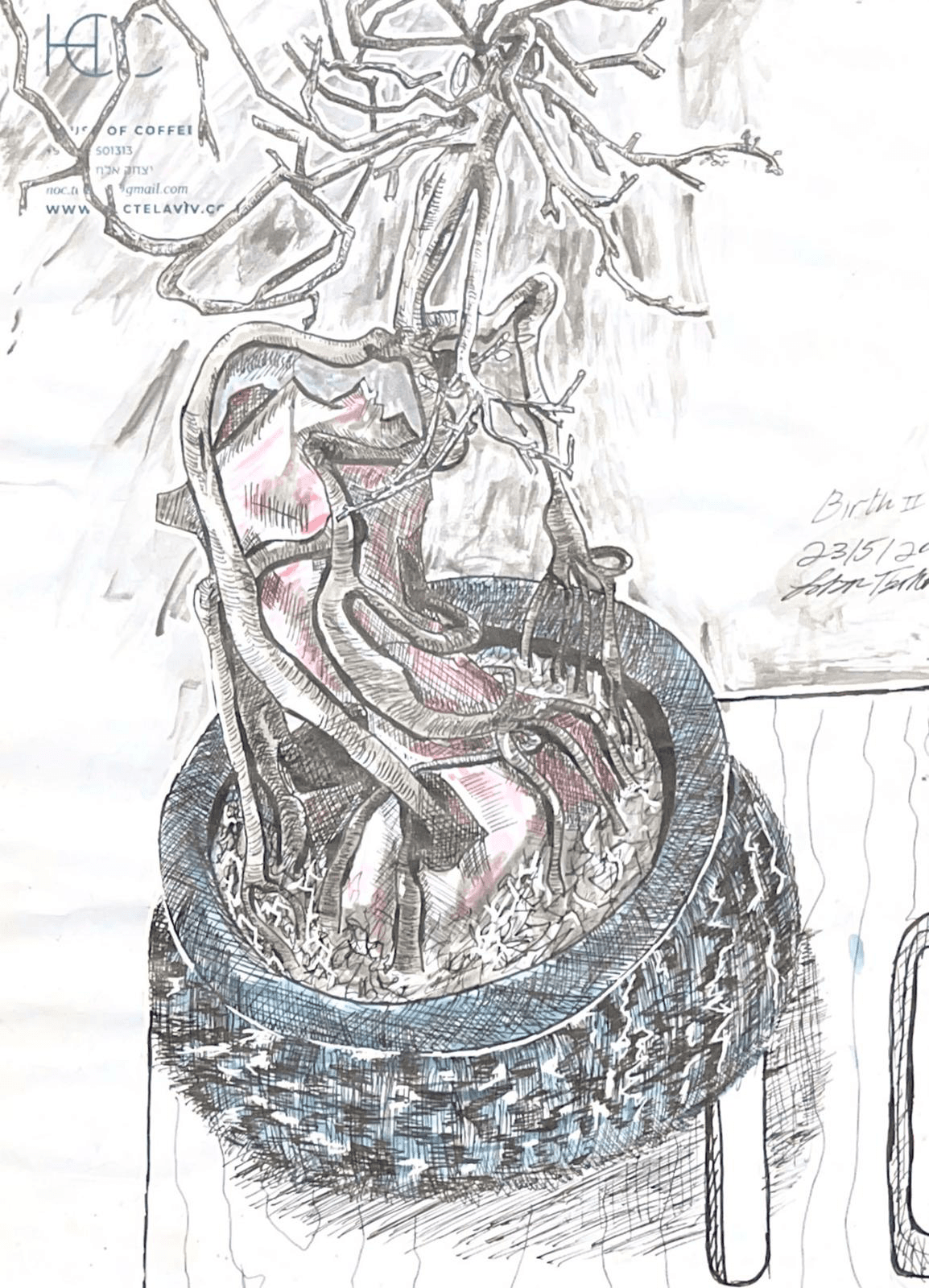 Birth 2/4