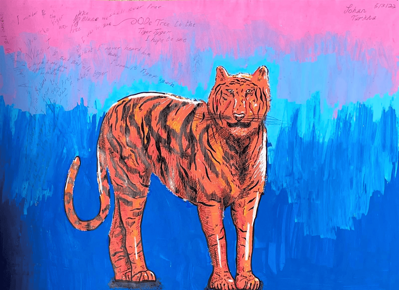 Tiger in Electric Blue