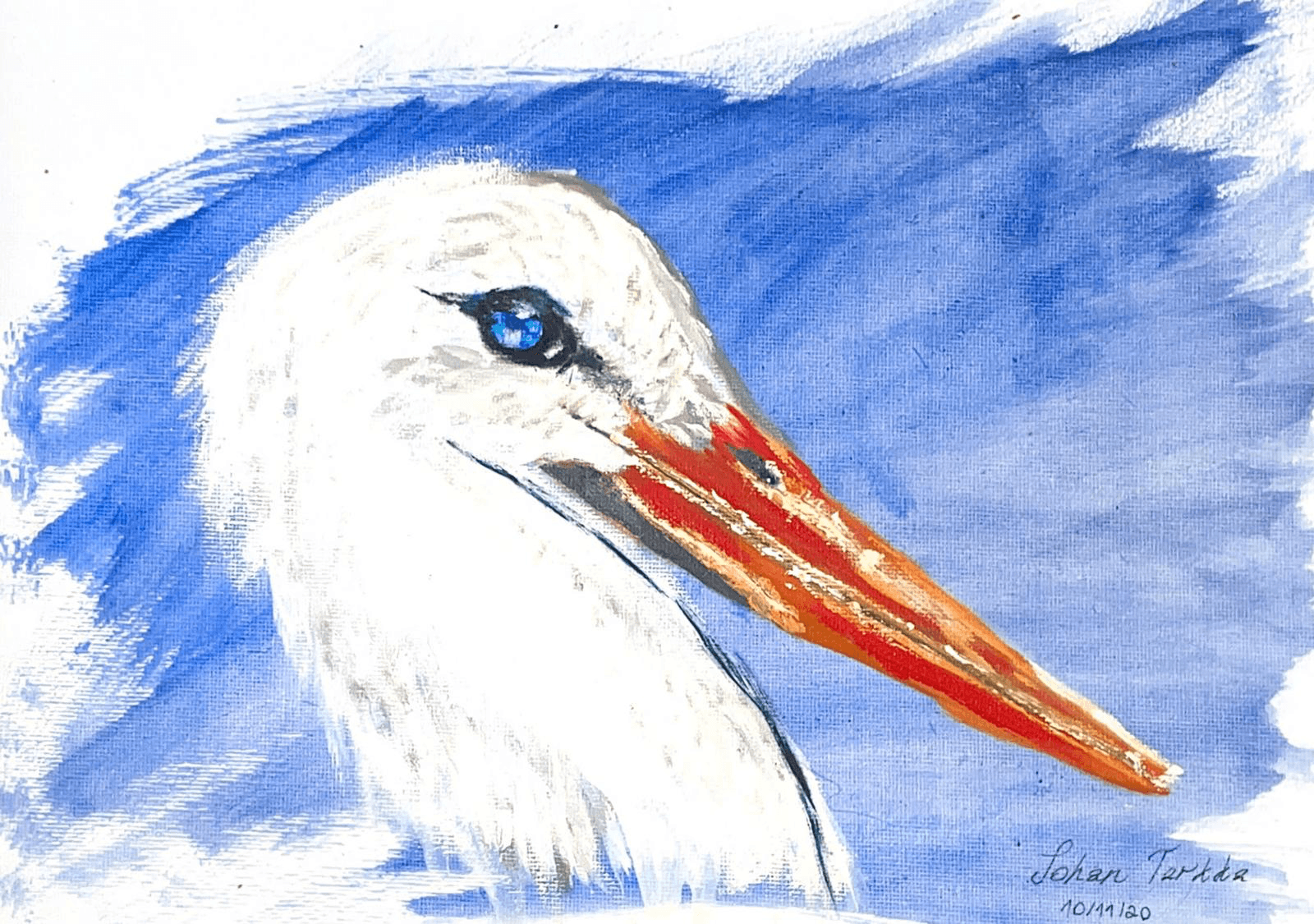Blue-Eyed Stork
