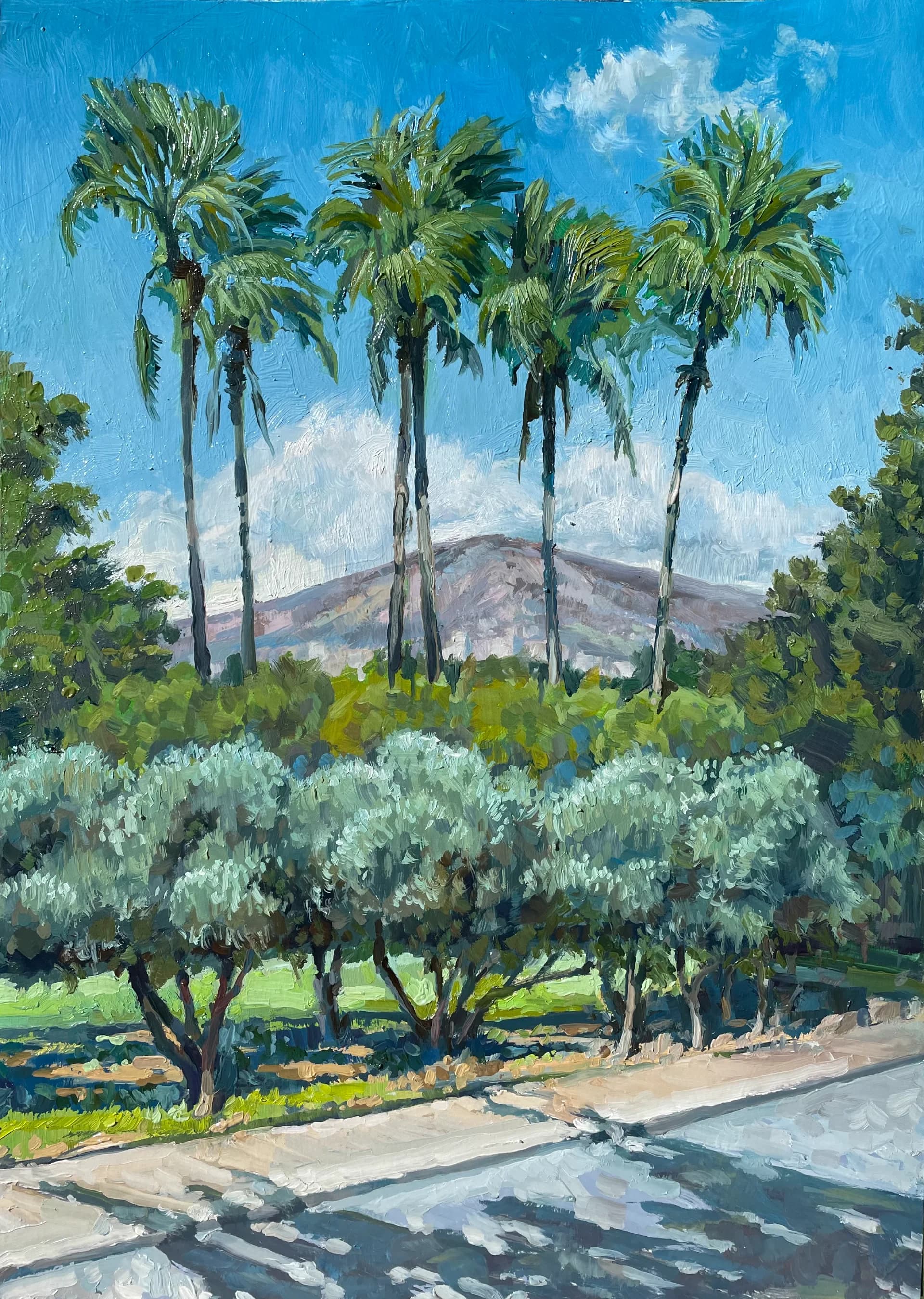 Olives and Palms