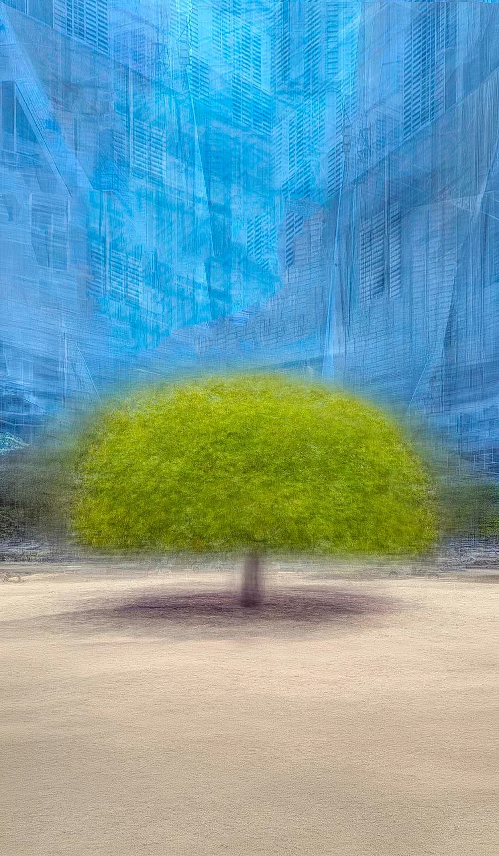 חלום עירוני