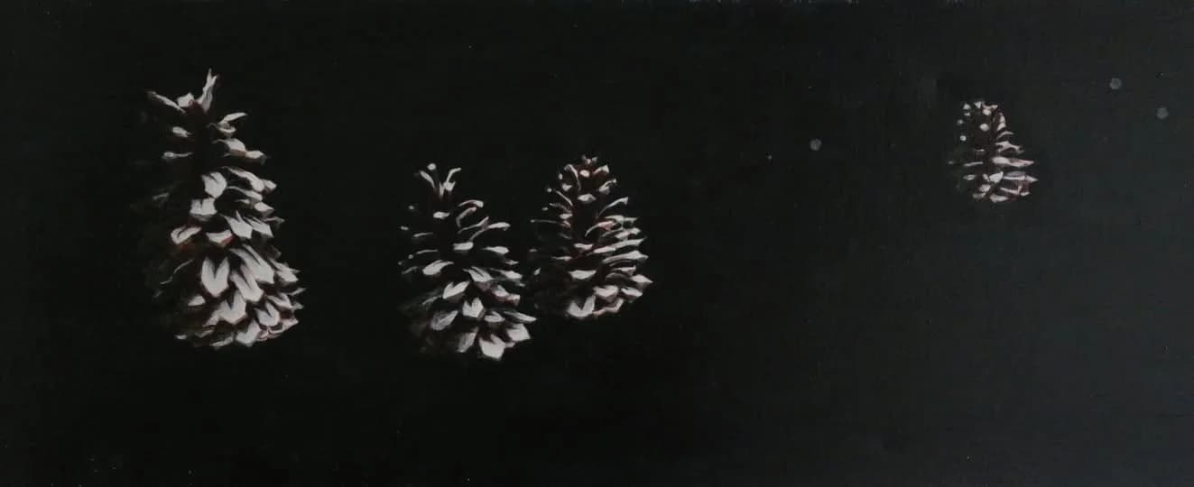 Pinecones in Silence