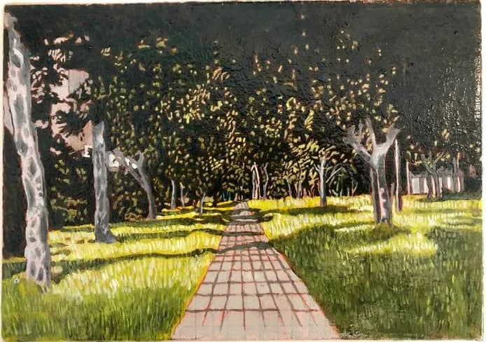 Sunlit Grove Path