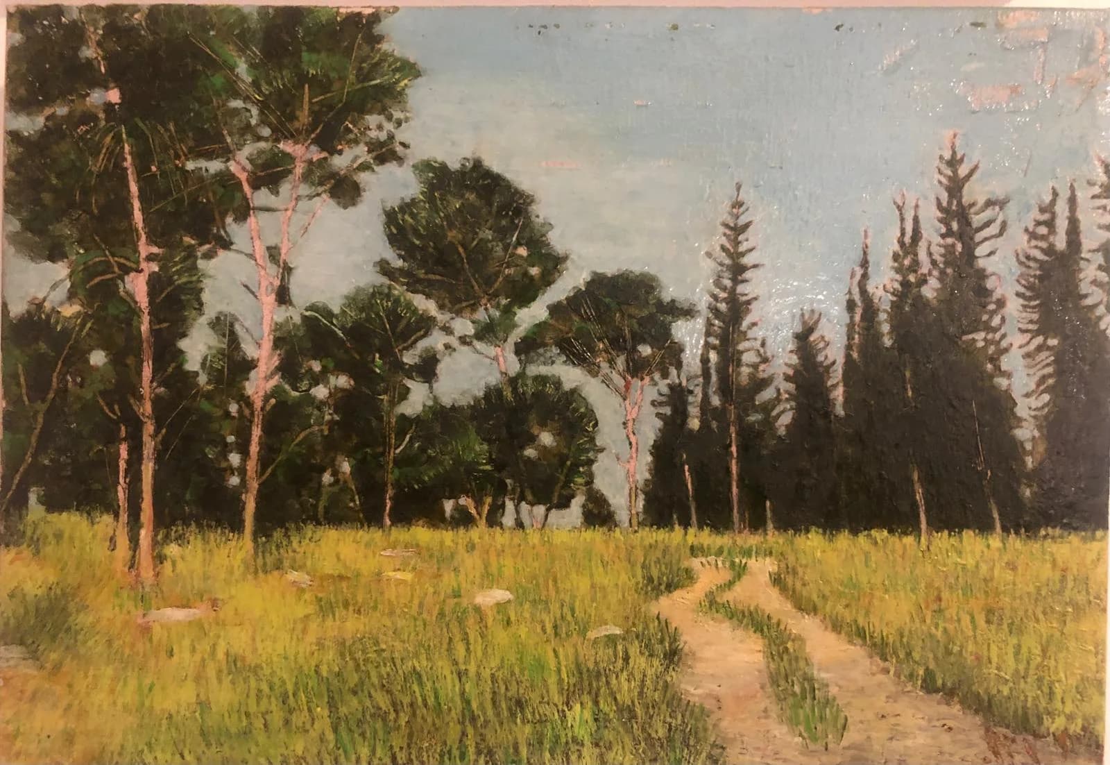 Path Through the Pines