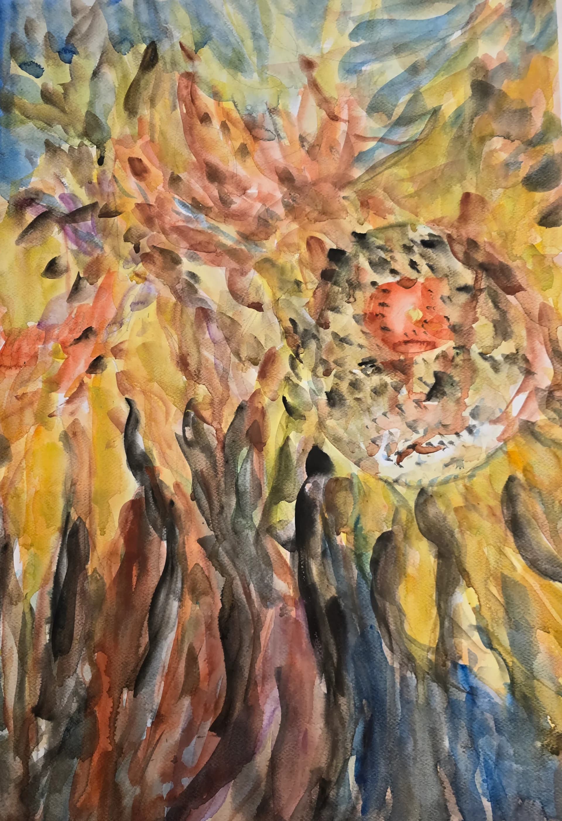 Sunflower Reverie