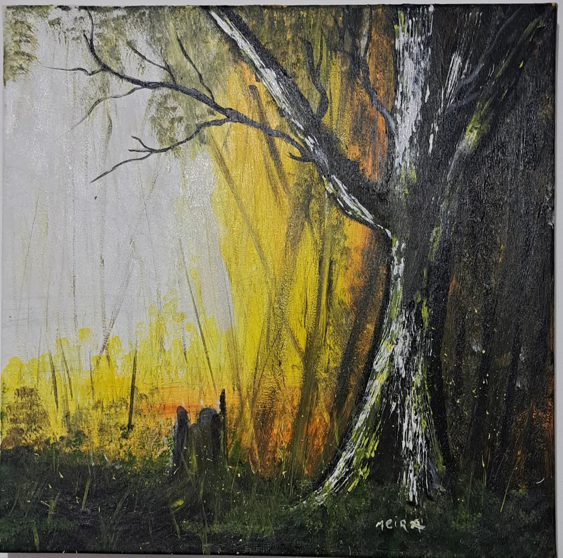Forest Echoes
