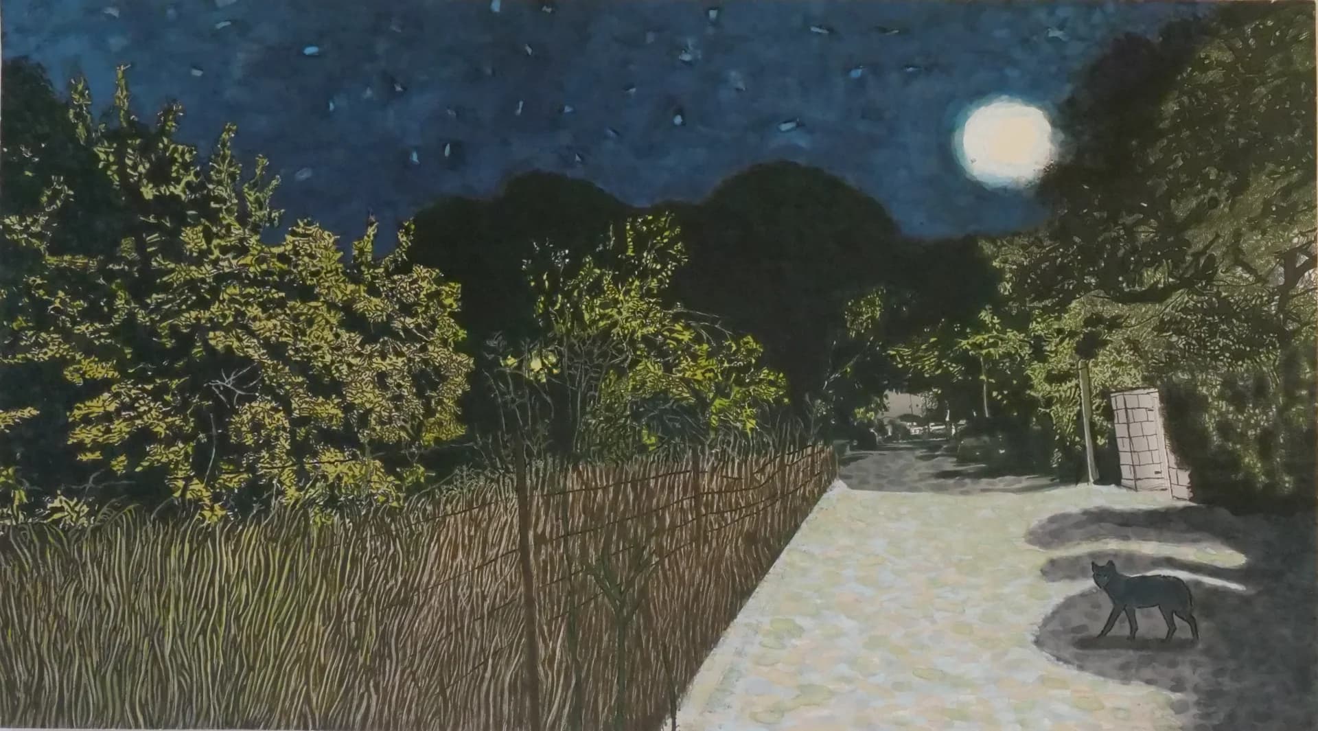 Moonlit Path with Cat