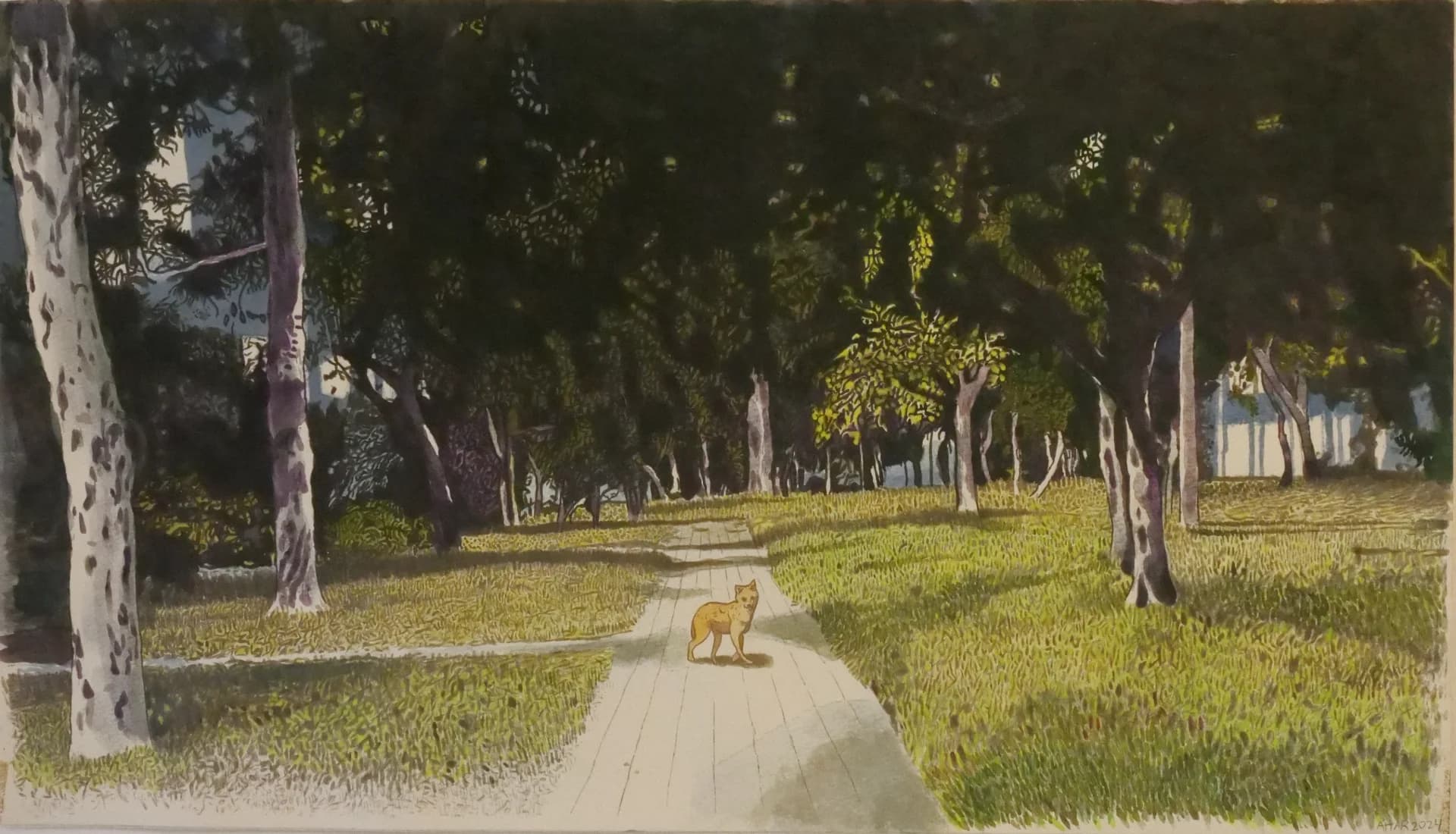 Fox on the Path