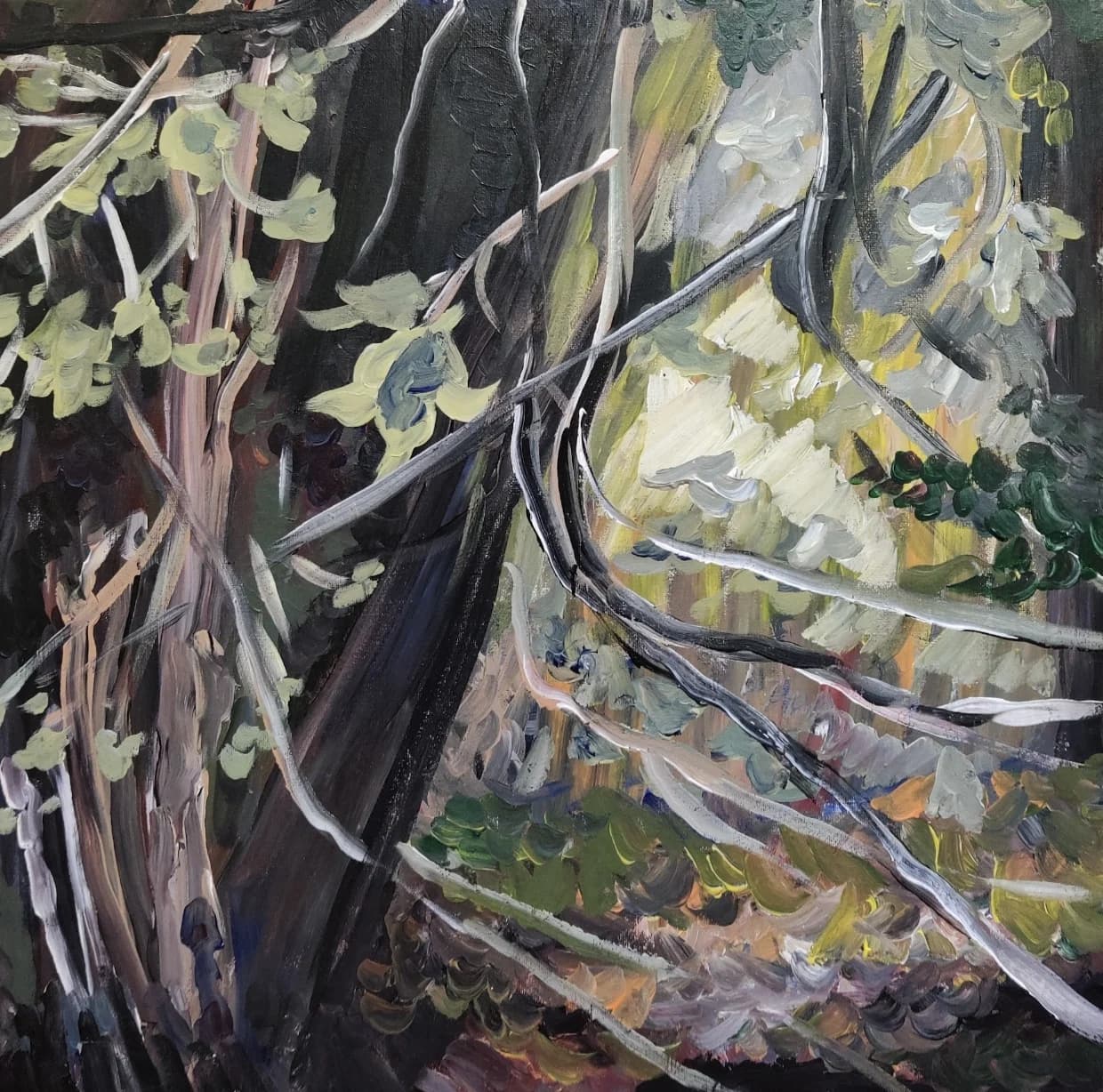 NATURE II