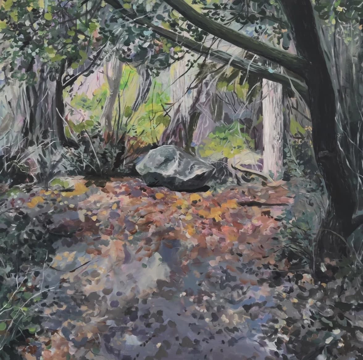In to the forest