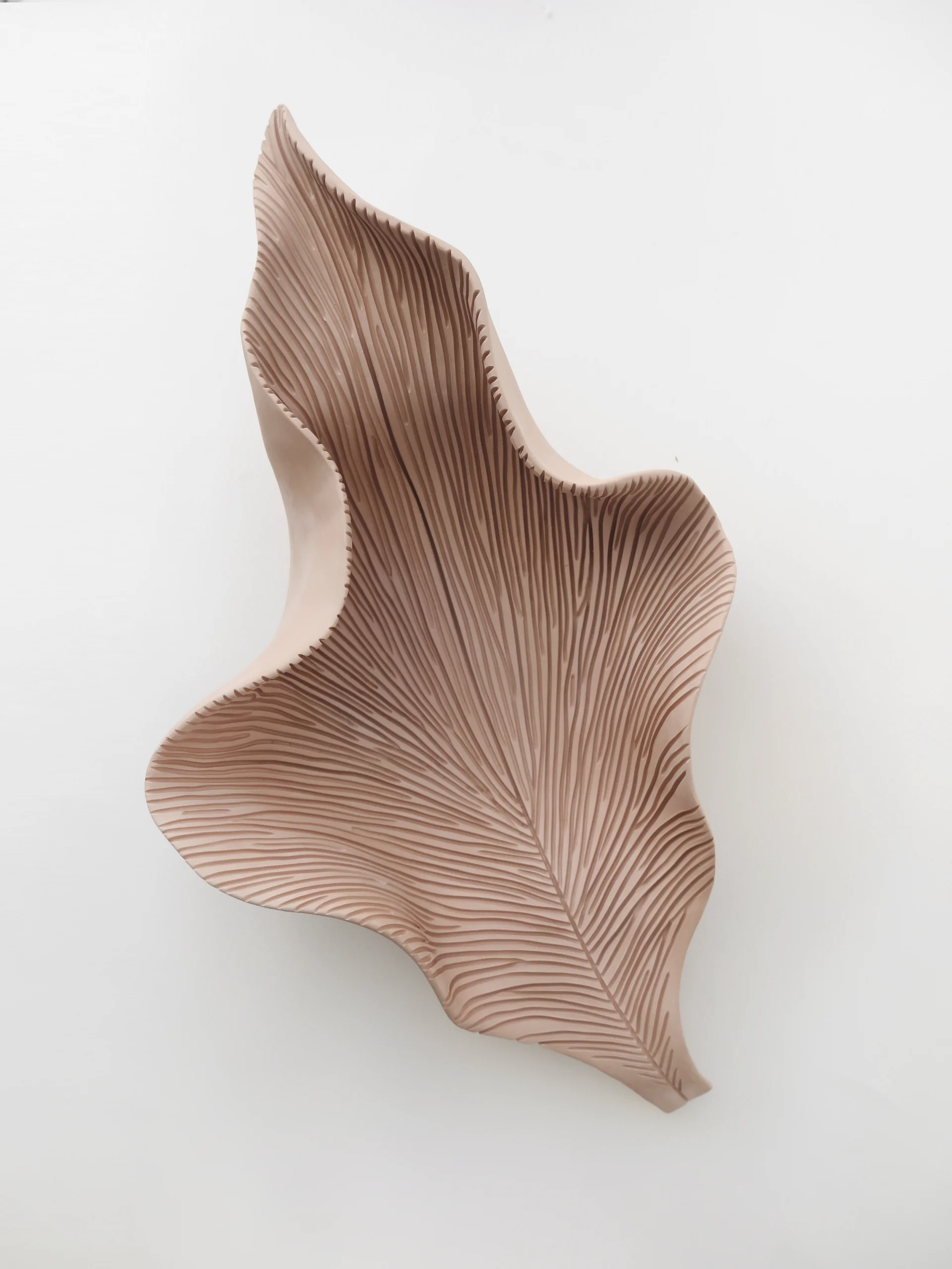 LEAF // No.1