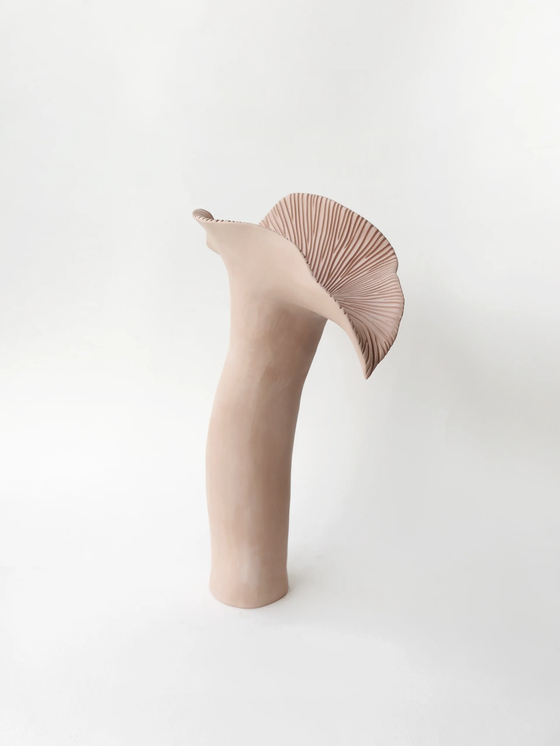BOTANICAL UNFOLDING // No. 14