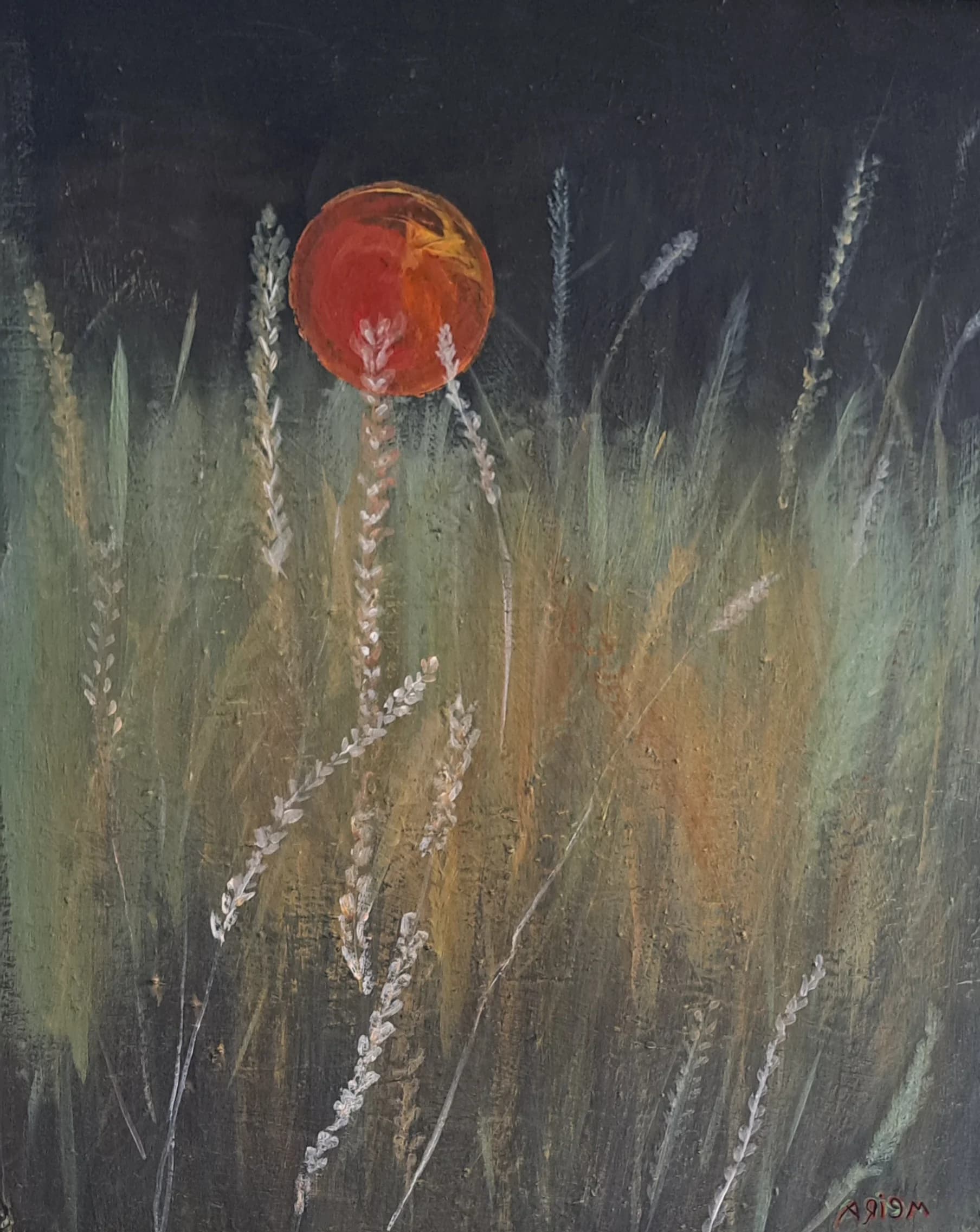 Moon Over Meadow