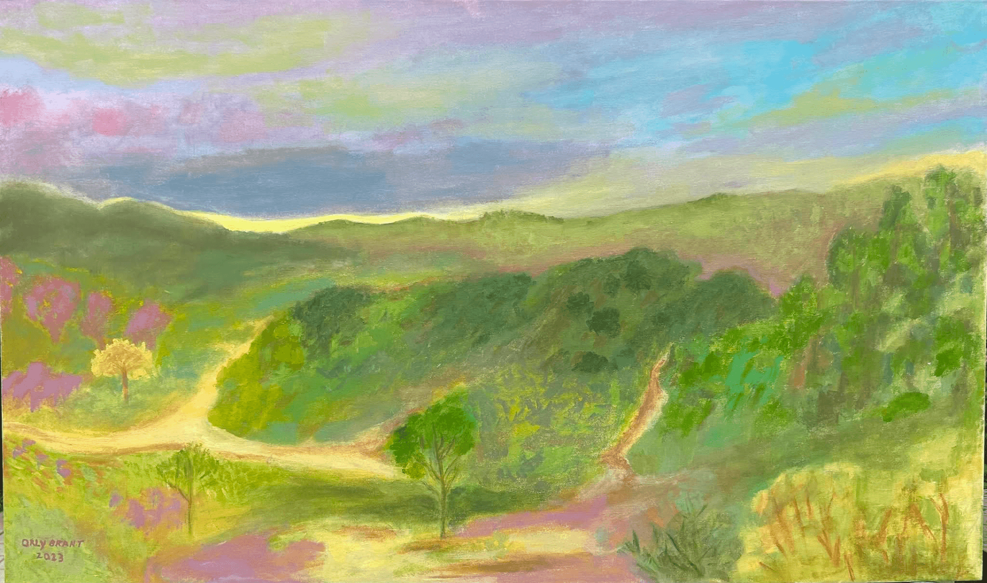 Walking in nature in the Carmel Mountains