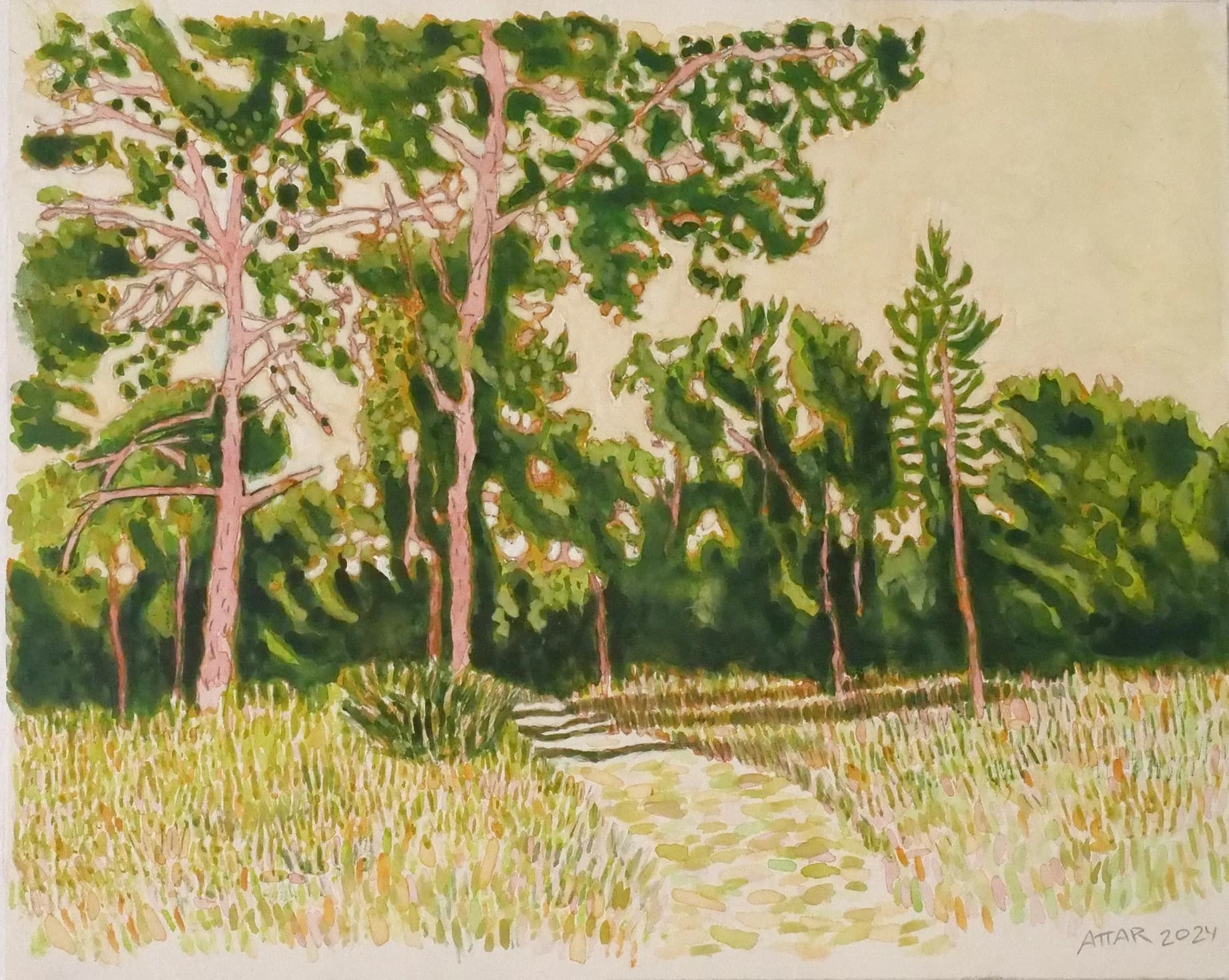 Path Through the Pines
