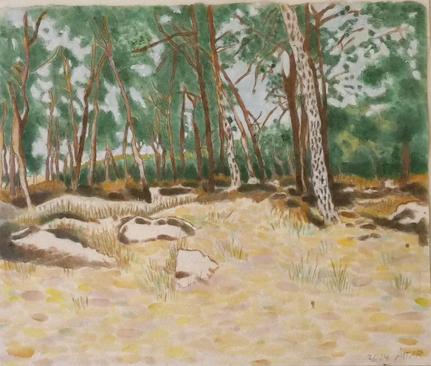 Quiet Pine Grove