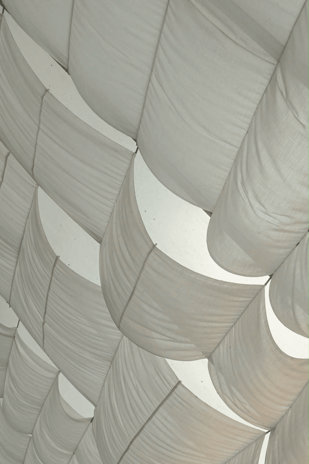White Sail