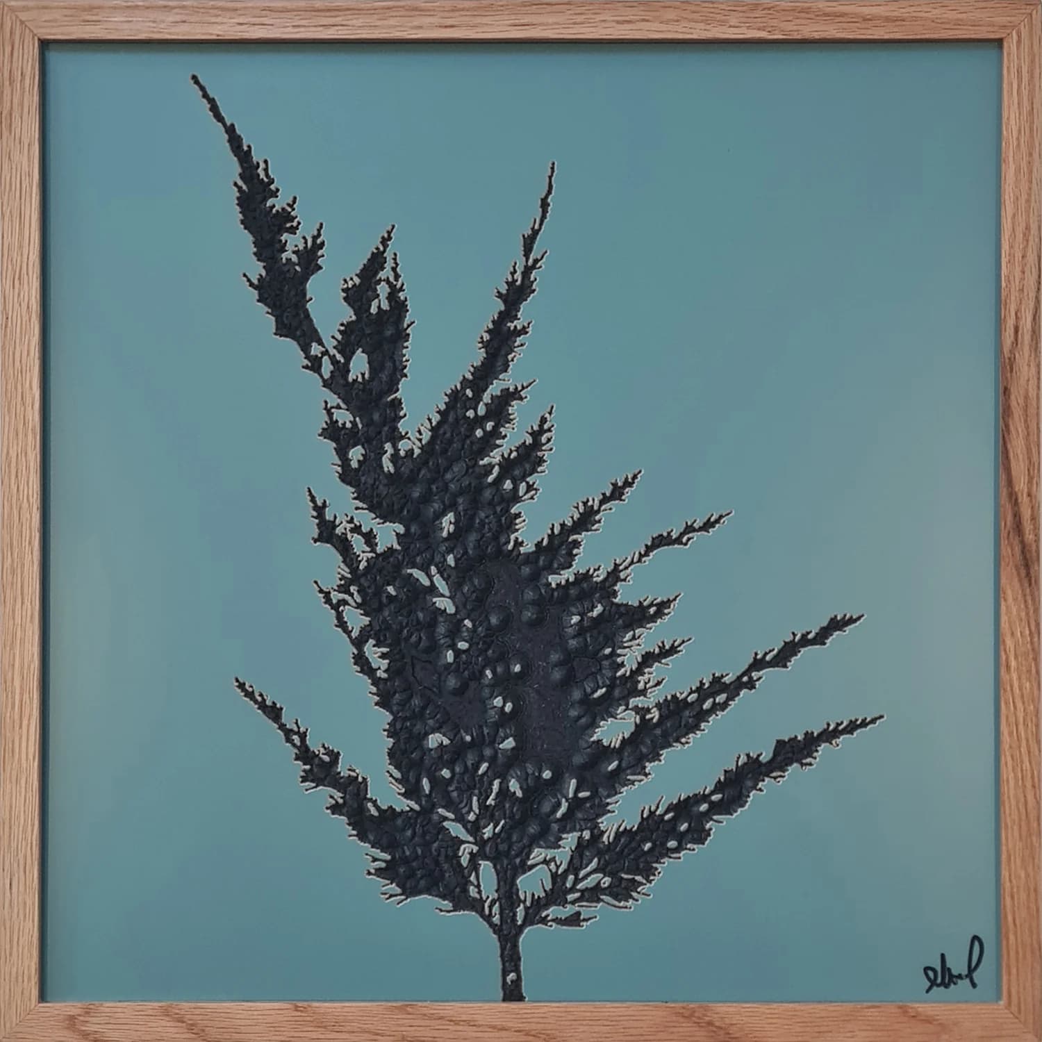Midnight Cypress