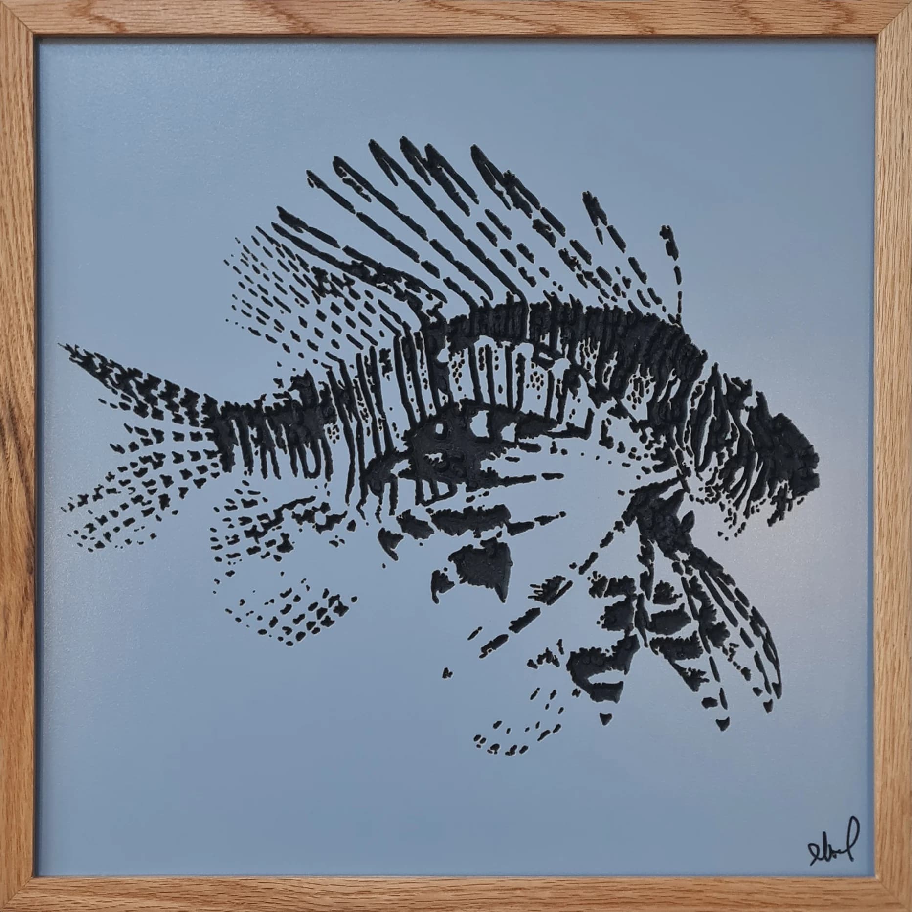 "show-off" Lionfish
